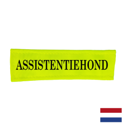 Assistentiehond