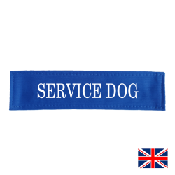 Service dog