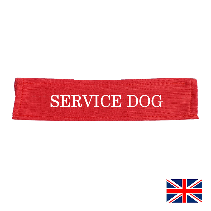 Service dog